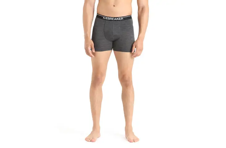 Icebreaker Merino 150 Anatomica Boxers - Men's w/ Free S&H — 17 models